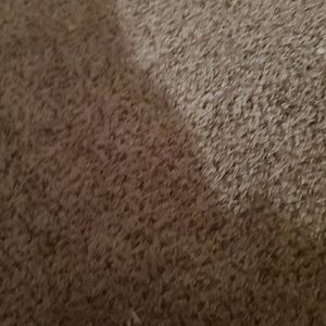 Meet your Posher, Freddy